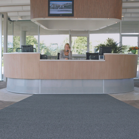 Forza Toptex schoonloopmat