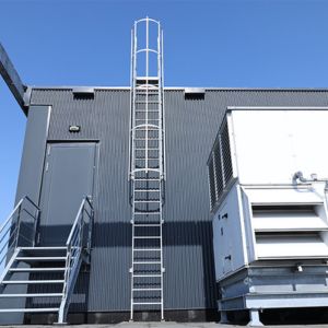 Vaste kooiladder met vloer muurbevestiging