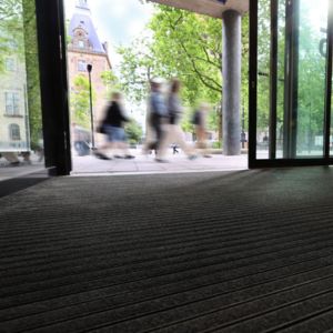 maxxis entreemat natuurtint