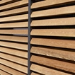 Loggiawood Paro