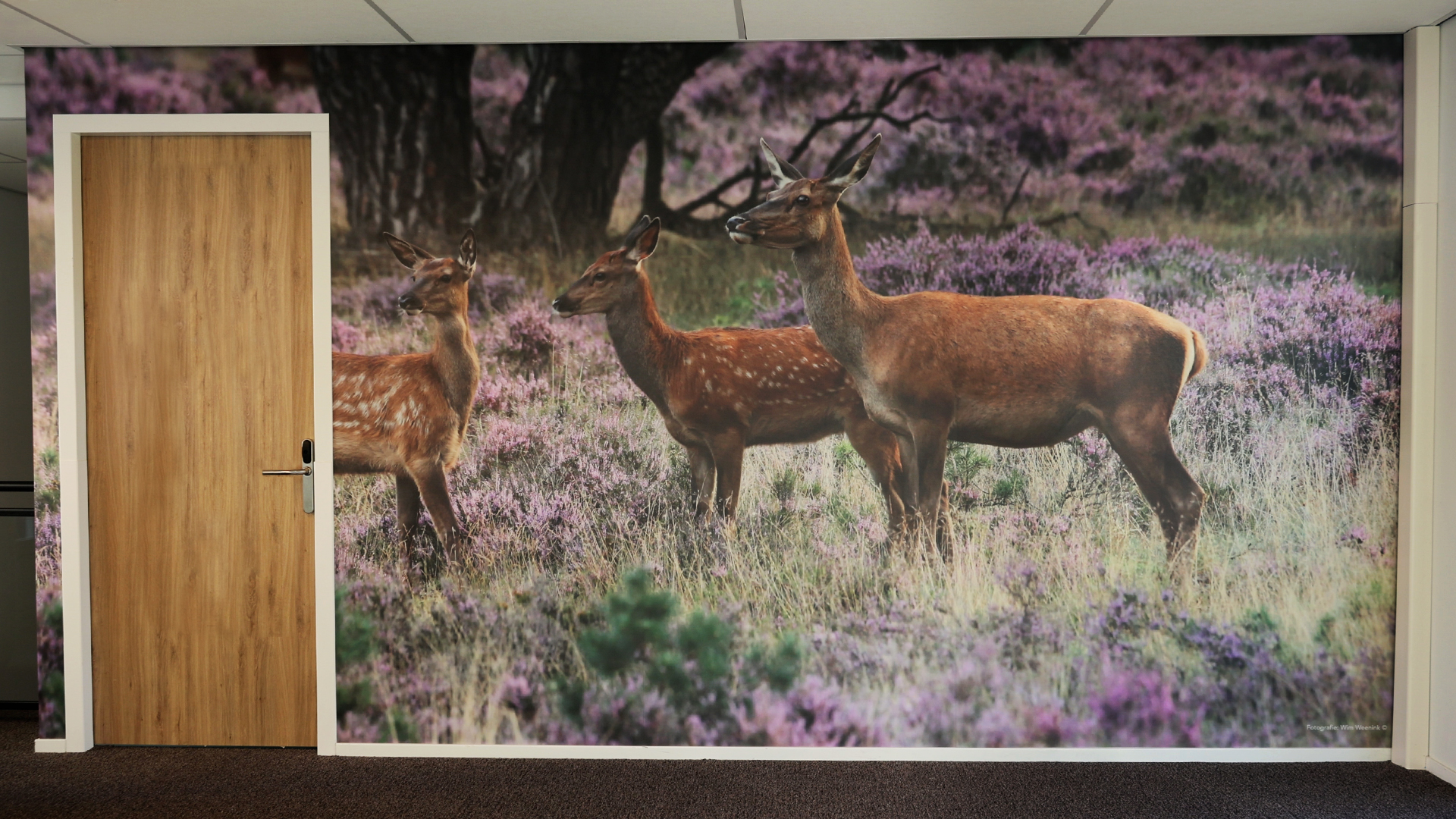 De Hartenberg Wekerom