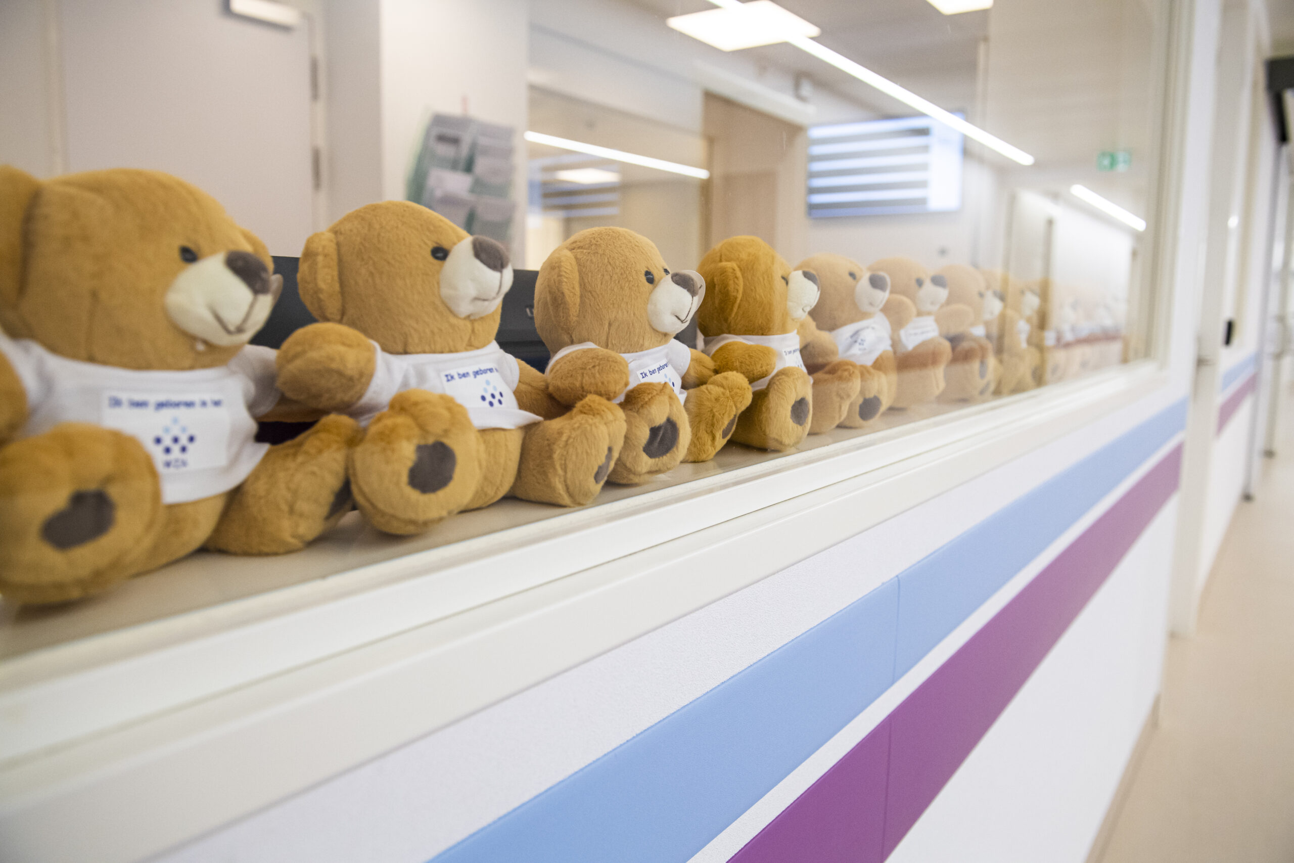 Wilhelmina Ziekenhuis Assen