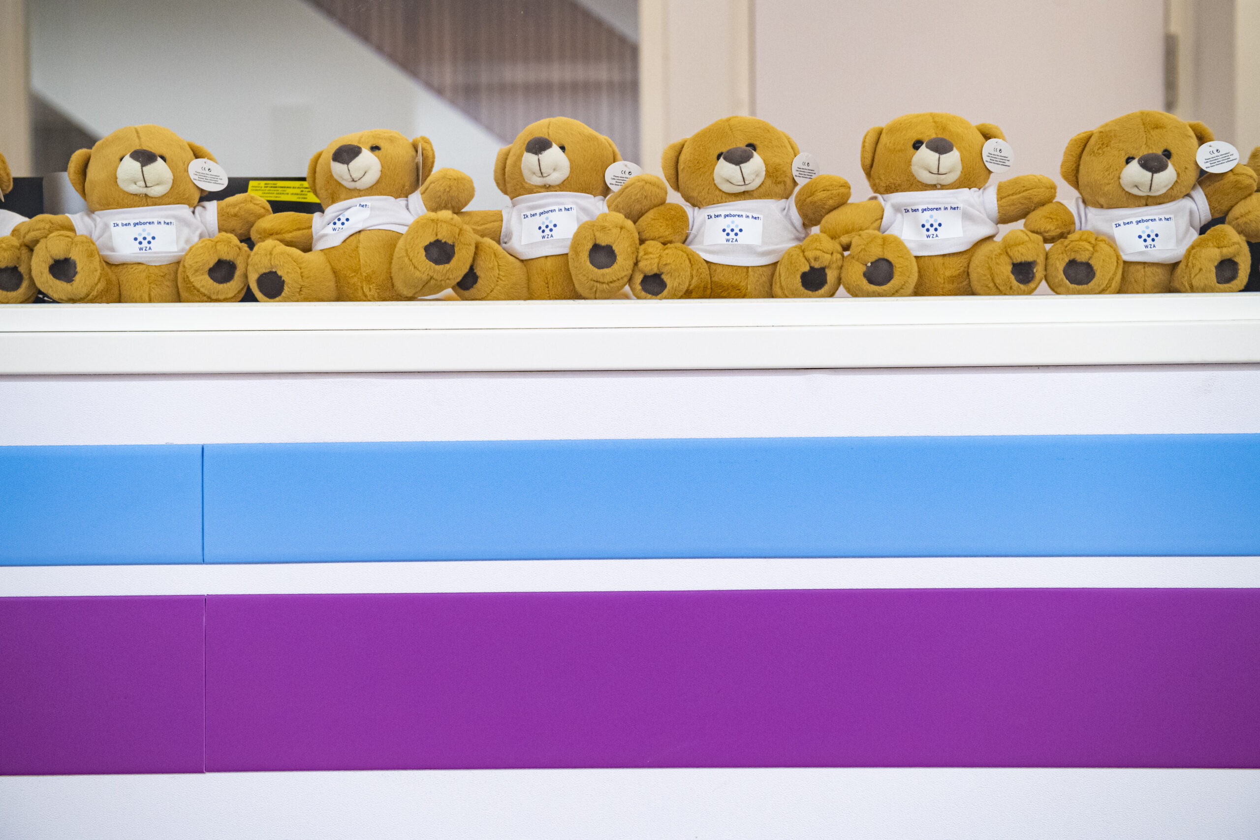 Wilhelmina Ziekenhuis Assen