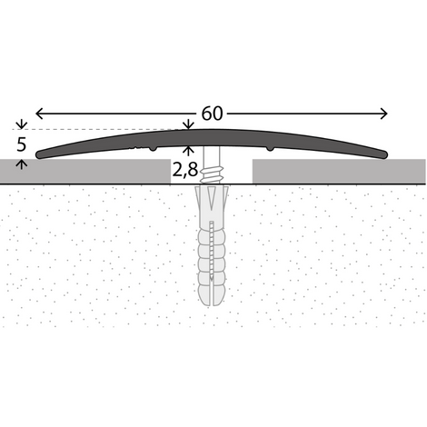 Prinz overgangsprofiel 60 mm