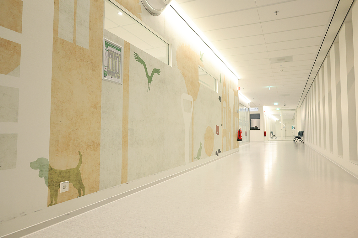 Amphia Ziekenhuis Breda