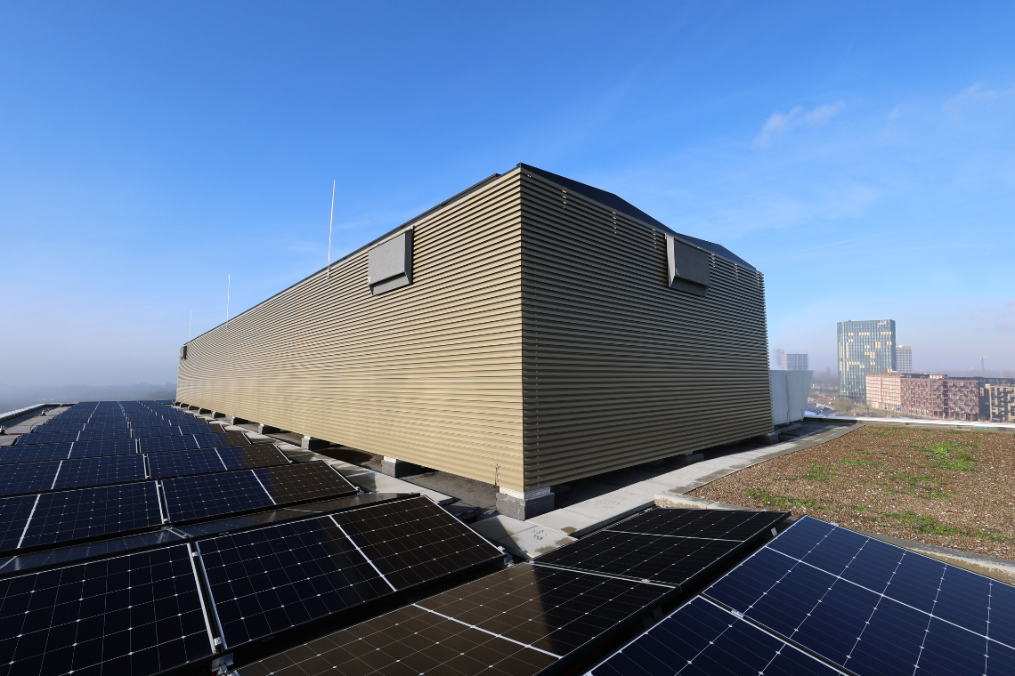 The William Amsterdam