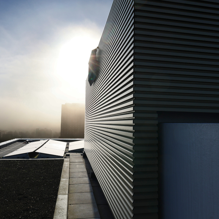 The William Amsterdam