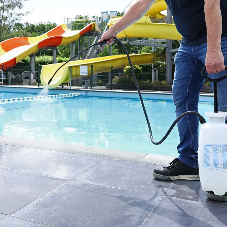 Kleine Wolf Stegeren