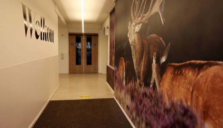 wandbescherming stootvast en krasvrij (750 x 430 px) (9)