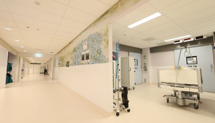 wandbescherming stootvast en krasvrij (750 x 430 px) (9)