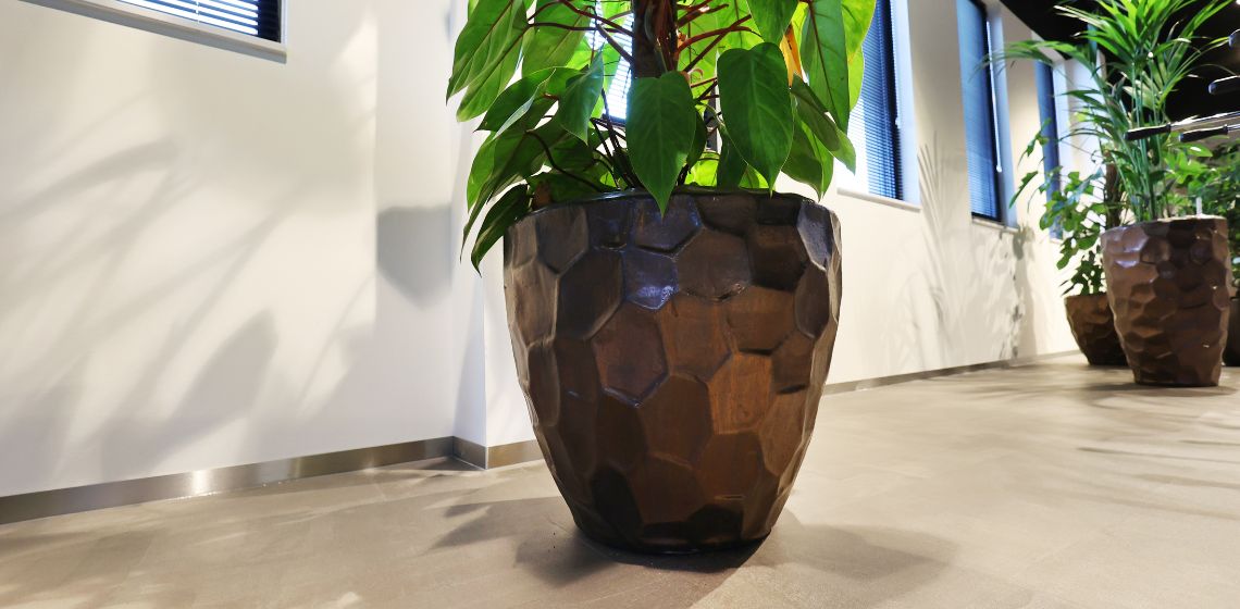 Moore DRV Middelburg