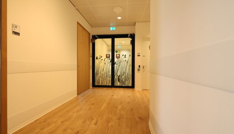 stootlijst wandbescherming muurbescherming